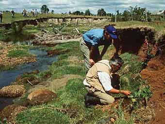 Чилийское палеолитическое поселение оказалось древнейшим в Америке 