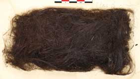 Найденный волос заставил пересмотреть историю заселения Гренландии