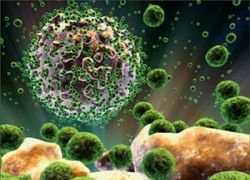 Ученые обнаружили слабое место вируса иммунодеффицита