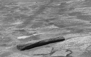 На Марсе нашли деревянную доску?