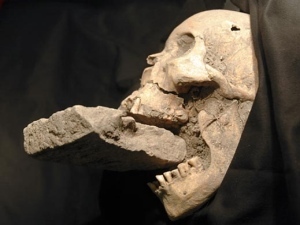 Найден скелет вампирши с волчьими зубами