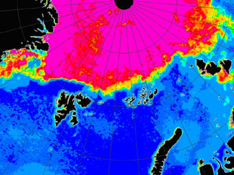 Ледовитый океан, компьютерная обработка фото со спутника Aqua AMSR-E от 24 августа 2006 года. В центре вверху – Северный полюс. Льды находятся значительно севернее архипелагов (справа налево): Северной Земли, Земли Франца-Иосифа, Свальбарда. Паковый лед показан фиолетовым. Изображение с сайта Европейского космического агентства.