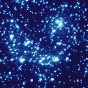 Центральная часть шарового звёздного скопления 47 Тукана (фото NASA/ESA).