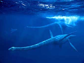 В Антарктиде найден скелет молодого плезиозавра 