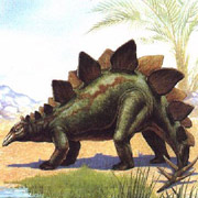 Stegosaurus - один из самых популярных у широкой публики динозавров 