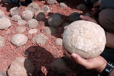 В Индии нашли десятки яиц динозавров 