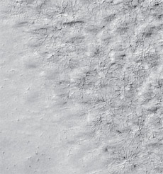 Характерные марсианские полярные "узоры": слева – пятна, справа – "веера" (фото MOC).