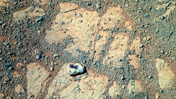 Марсианский гриб, гриб на Марсе