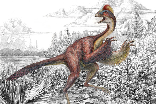Птицеподобный динозавр
