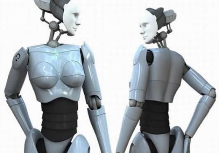 Роботы будут заниматься сексом